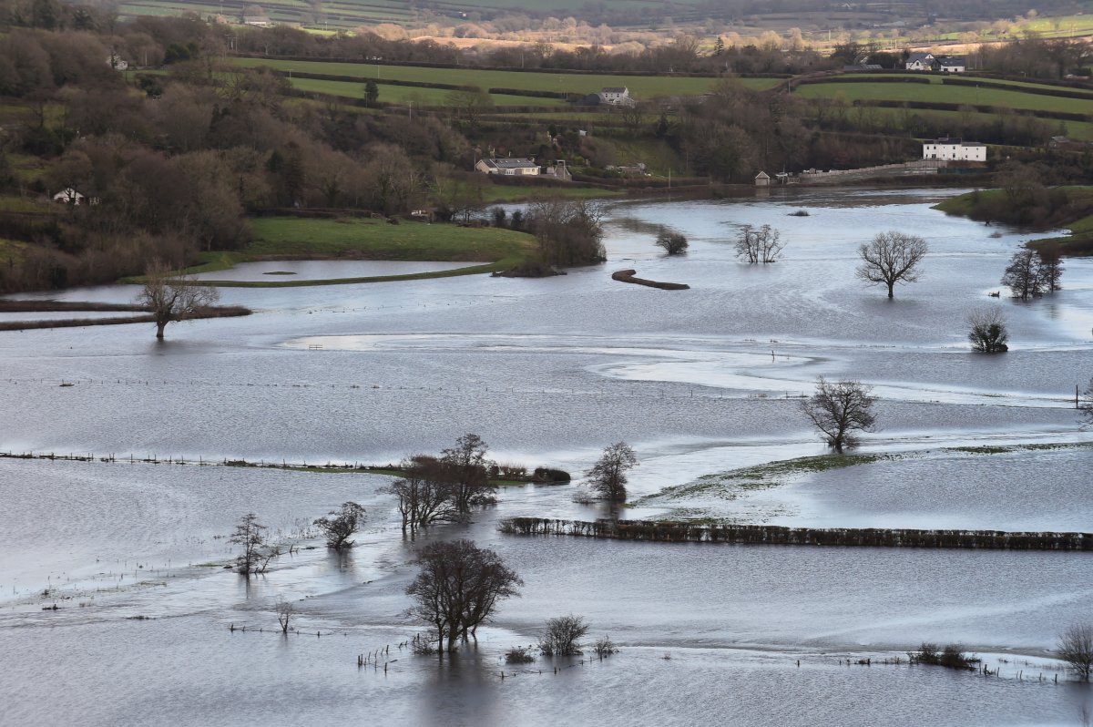 Climate warning from England: We are on the brink of disaster #5