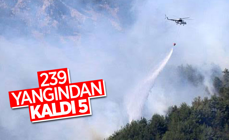 Fahrettin Altun, yangınlarla ilgili son durumu paylaştı