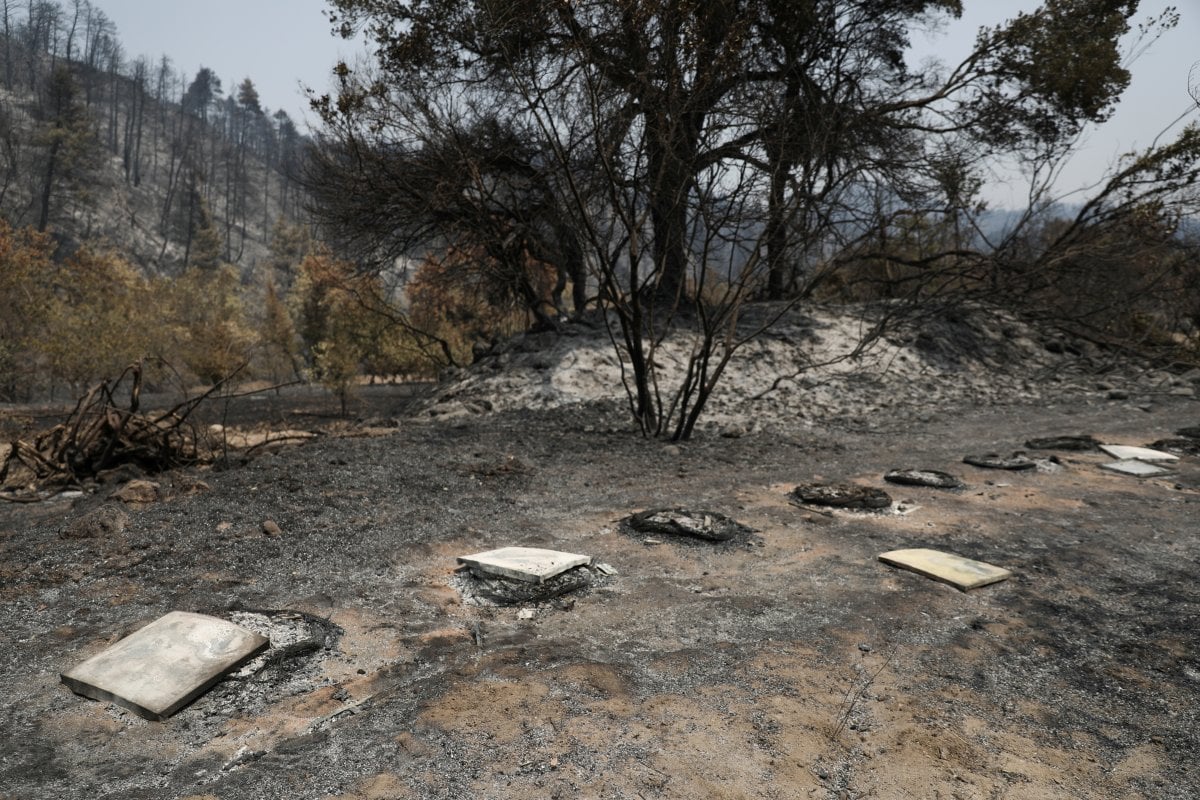Yunanistan ın Eğriboz Adası nda yangın öncesi ve sonrası #3