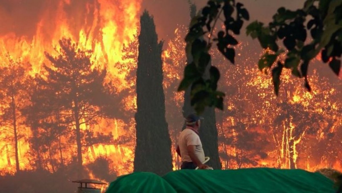 Şanlıurfa da orman yangını çıkaran 3 kişi yakalandı #1