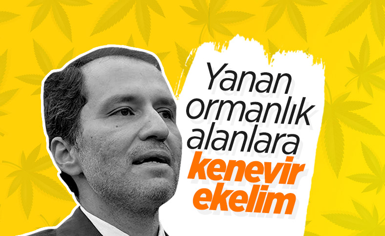 Yeniden Refah Partisi: Yanan orman alanlarına kenevir ekilebilir