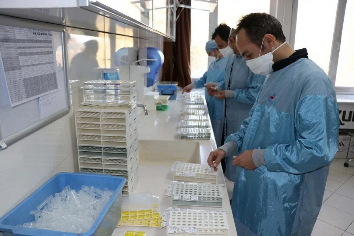 Yerli koronavirüs aşısı Delta varyantına karşı test edilecek #4