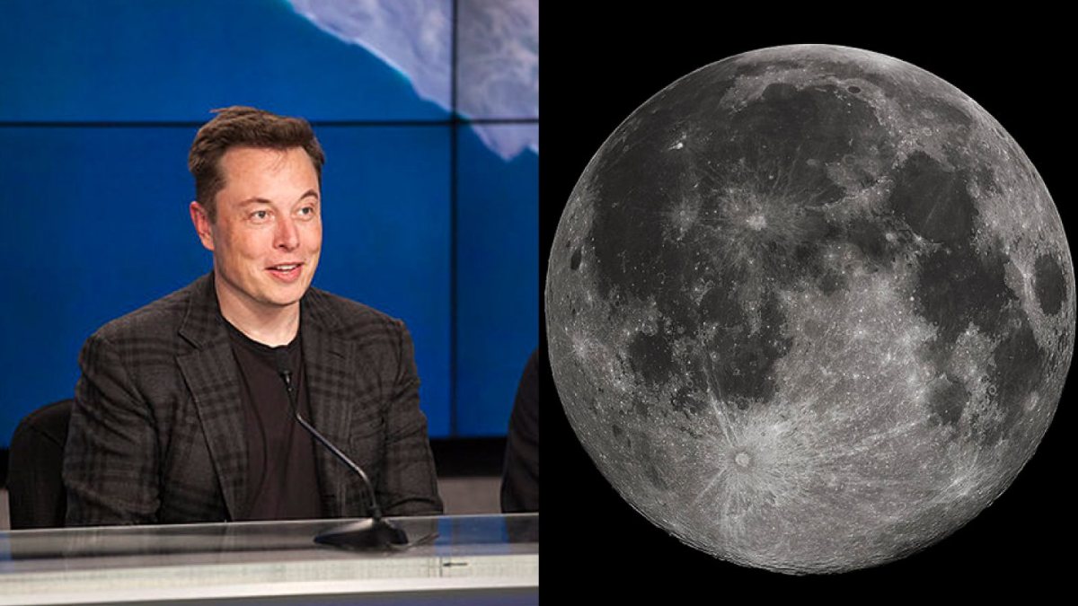 Elon Musk 2024'ten önce Ay'da olacağız