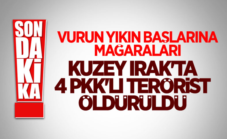 4 PKK'lı terörist öldürüldü