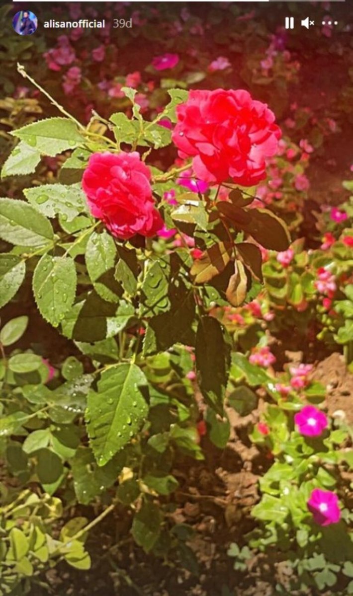 Alişan, kardeşinin yokluğuna alışamıyor #1