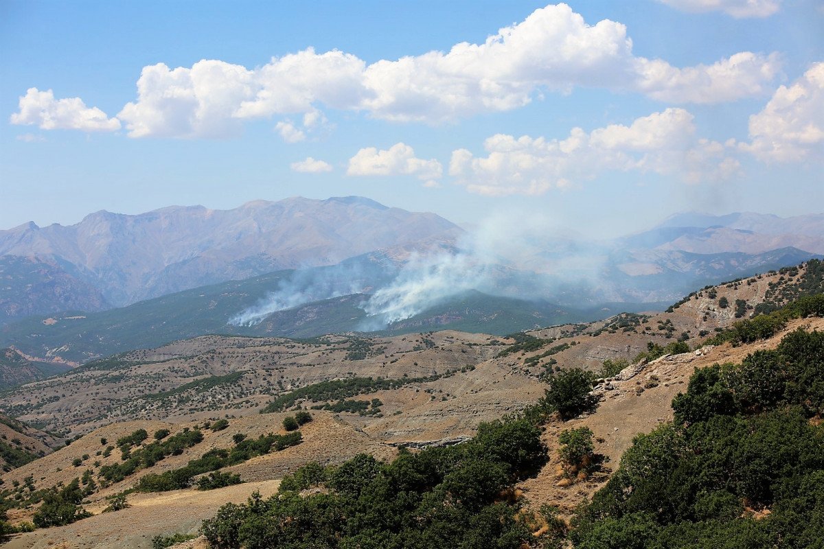Tunceli de ormanı ateşe veren PKK lılara operasyon #3