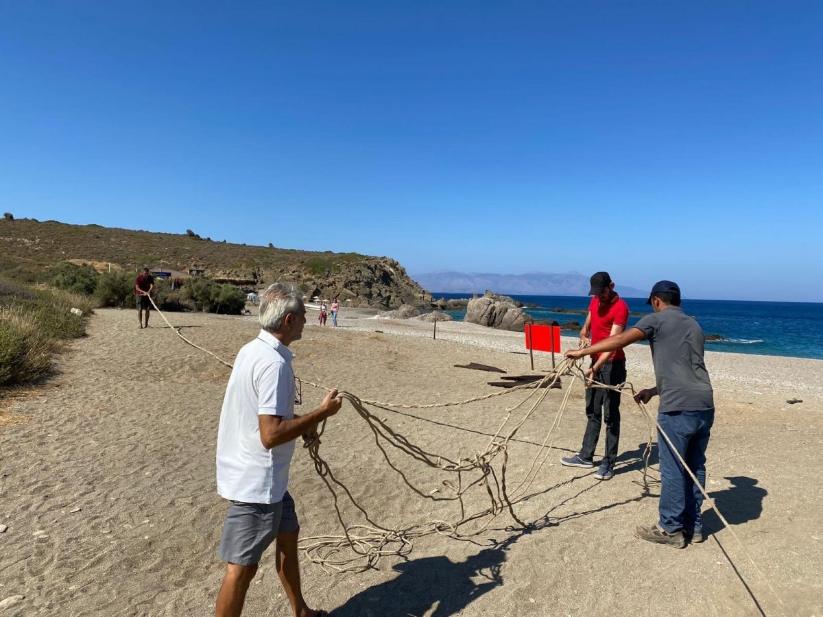 İzmir de çiçek açan kum zambaklarını koparmanın cezası 80 bin TL #3