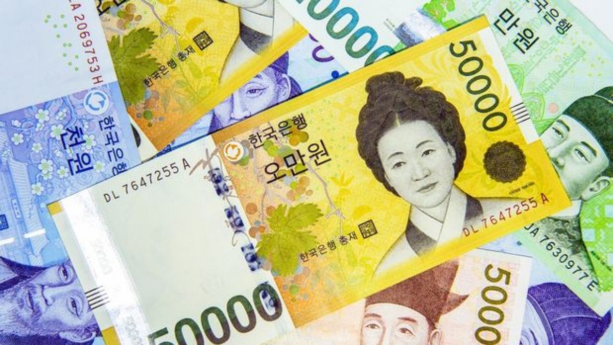 Merkez Bankası alım satıma konu dövizlere Güney Kore wonu eklendi #1