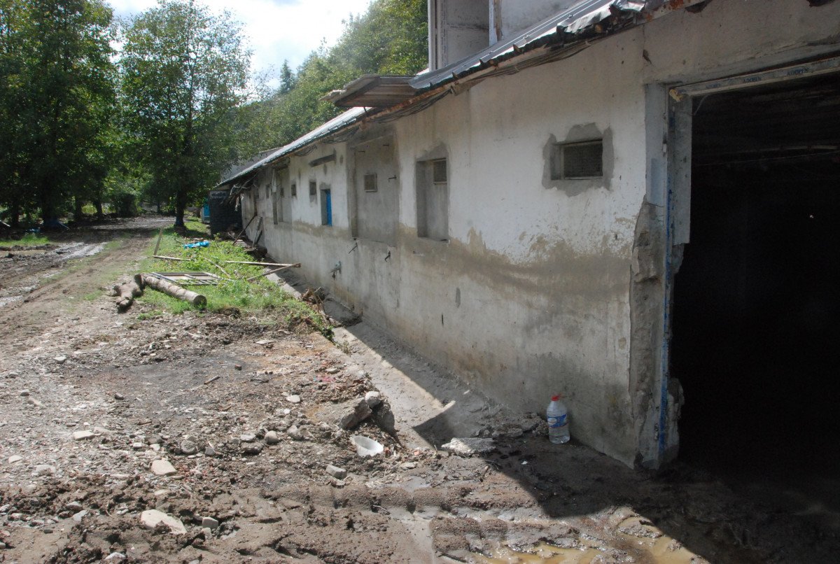 Bartın da yaşanan sel felaketinde 24 bin tavuk telef oldu #10