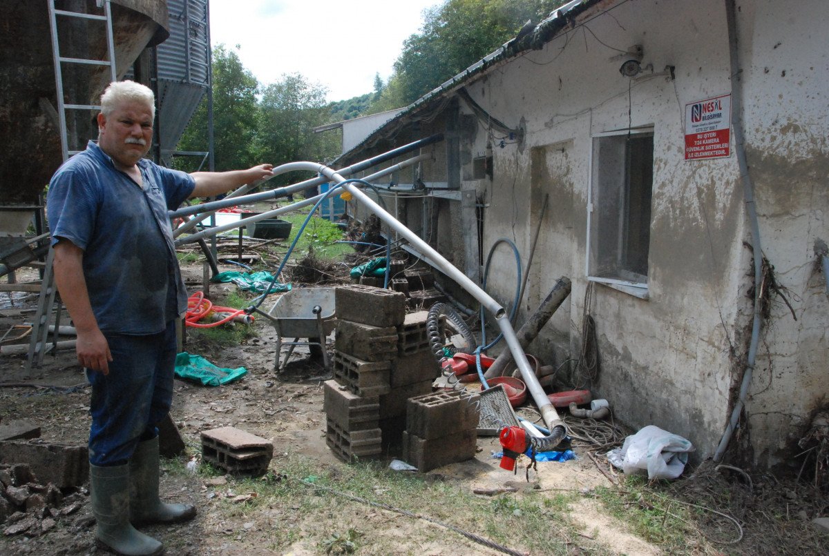 Bartın da yaşanan sel felaketinde 24 bin tavuk telef oldu #7