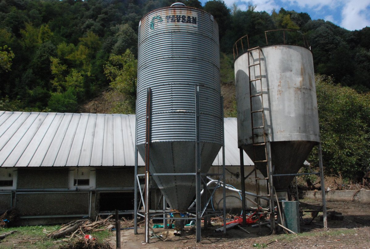 Bartın da yaşanan sel felaketinde 24 bin tavuk telef oldu #5