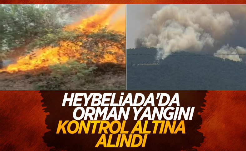 Heybeliada'da orman yangını kontrol altında