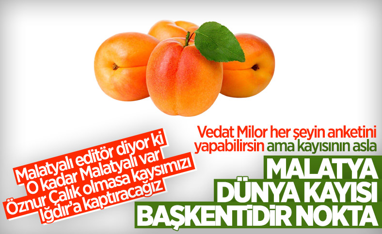 Vedat Milor'un başlattığı kayısı tartışmasına Malatyalı vekil Öznur Çalık'tan net cevap