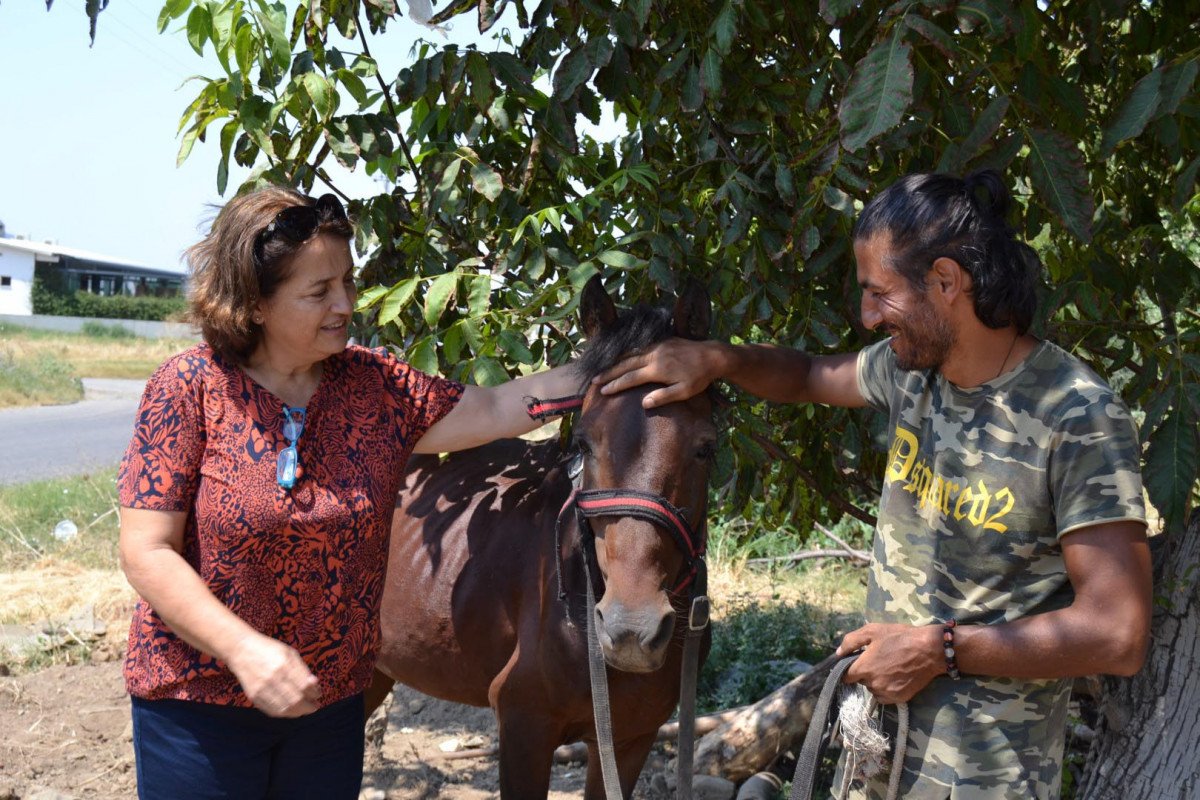 Doğa ve hayvan haklarına dikkat çekmek için atı ile yürüyor #1