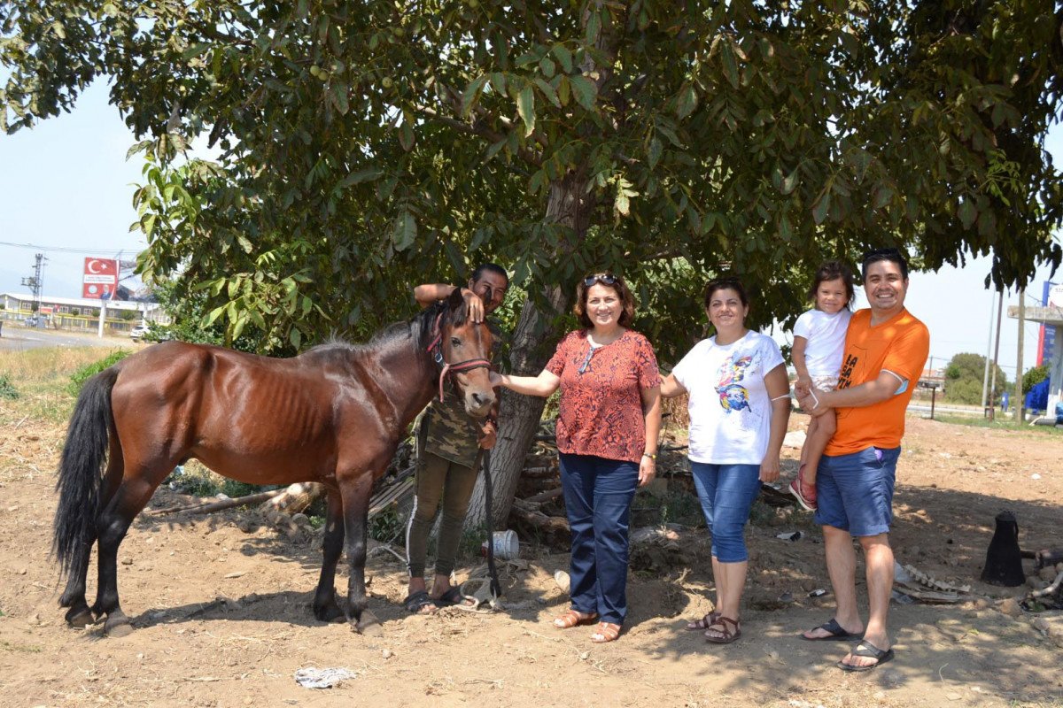 Doğa ve hayvan haklarına dikkat çekmek için atı ile yürüyor #7