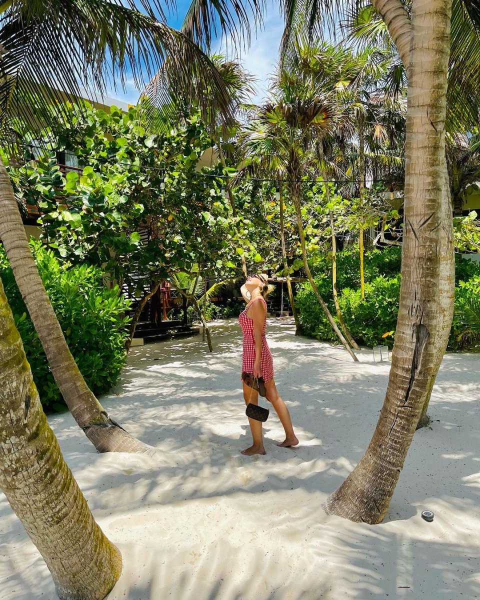 Mehmet Dinçerler, Hadise nin yüzünü güldürdü #2