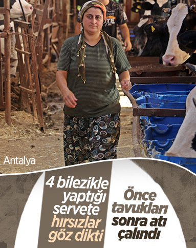 Antalya'da emekleriyle aldığı atını çaldıran kadın, hırsızlıktan şikayetçi