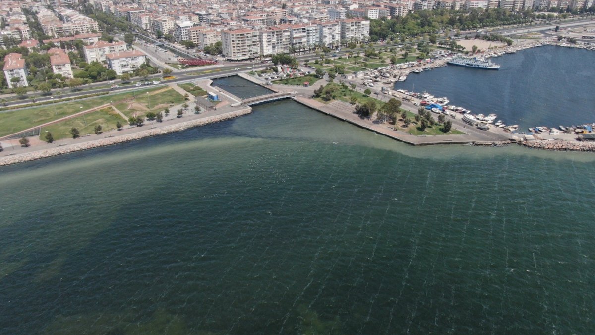 İzmir’de, ölü balıklar kıyıya vurdu #10