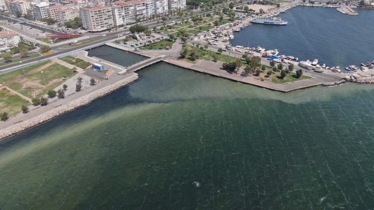 İzmir’de, ölü balıklar kıyıya vurdu #9