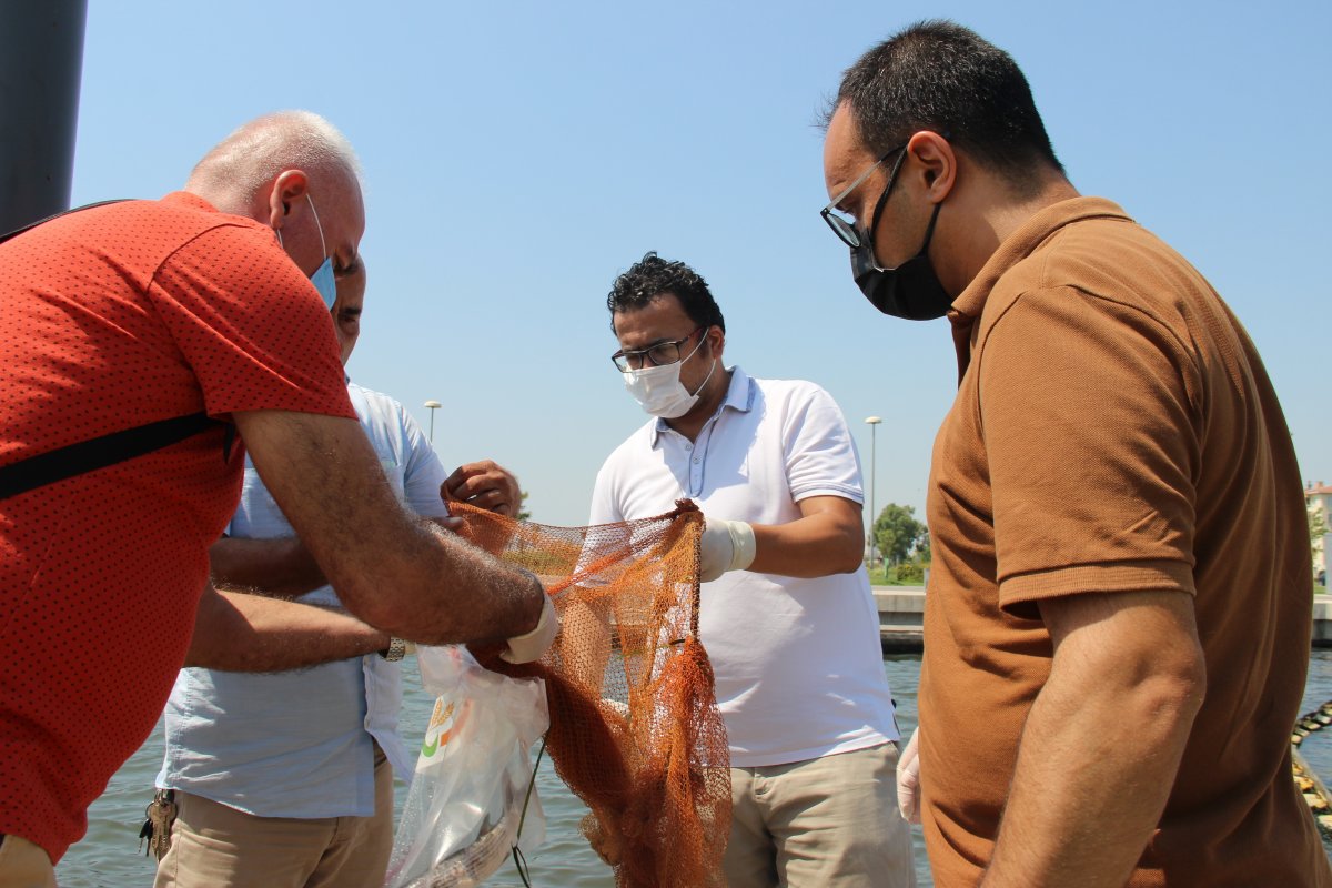 İzmir’de, ölü balıklar kıyıya vurdu #7