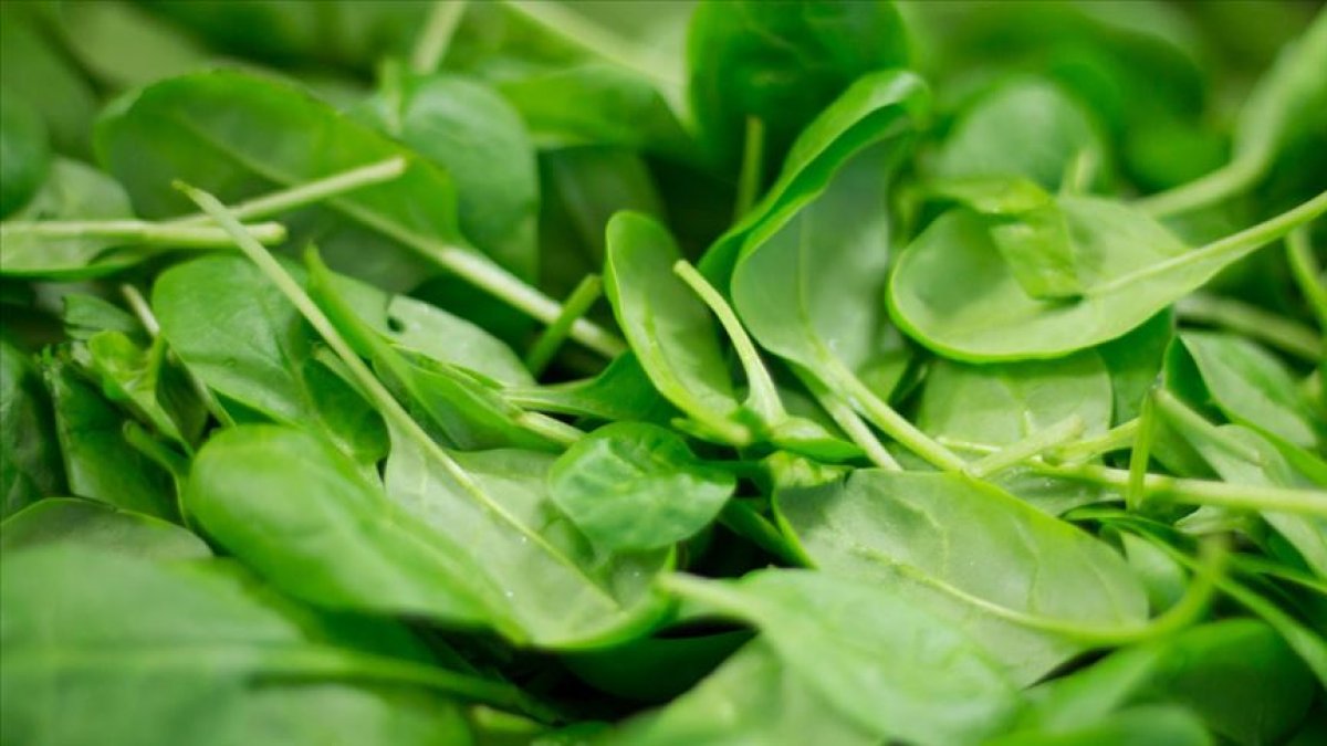 Baş ağrısını hafifleten 6 doğal ağrı kesici #6