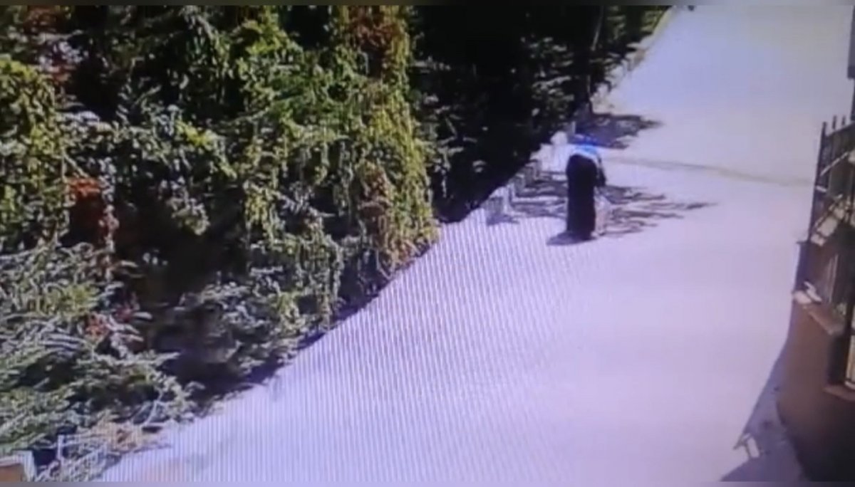 Kağıthane’de, kadın hırsızın çelik kasa ile imtihanı kamerada #2