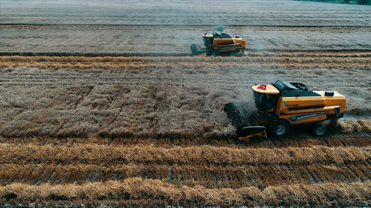 TMO mısır satışlarına başlayacak #2