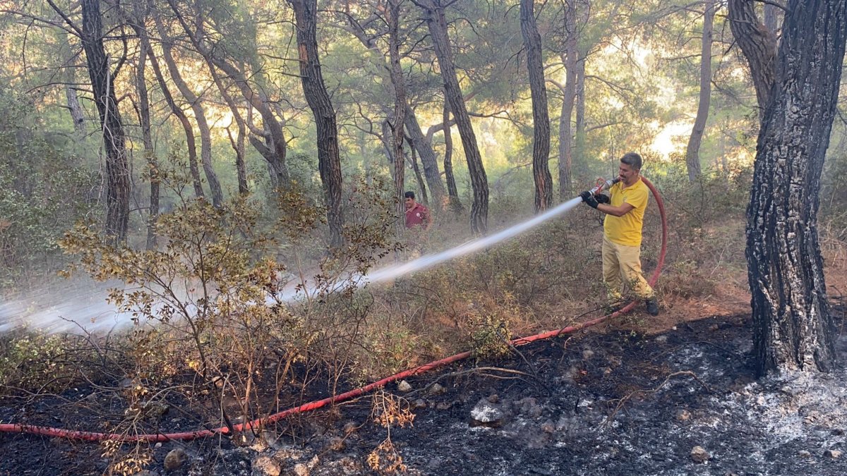 Muğla daki yangın kontrol altına alındı #3
