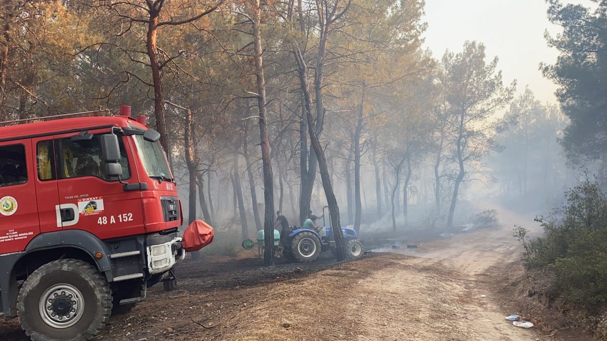 Muğla daki yangın kontrol altına alındı #1