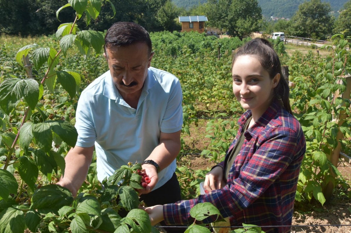 Bu ahududunun kilosu 45 lira