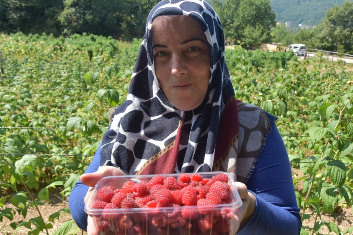 Bu ahududunun kilosu 45 lira