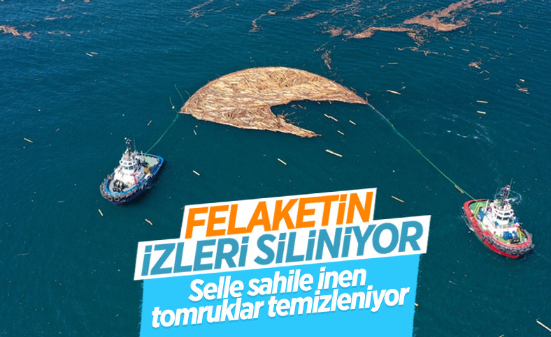 Sel felaketinde sahile vuran tomruklar temizlenmeye başladı