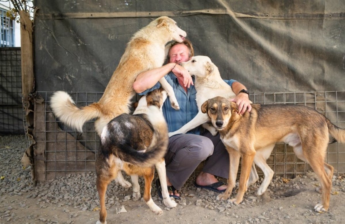 UK plans to evacuate ex-soldier Farthing and his 200 animals #2