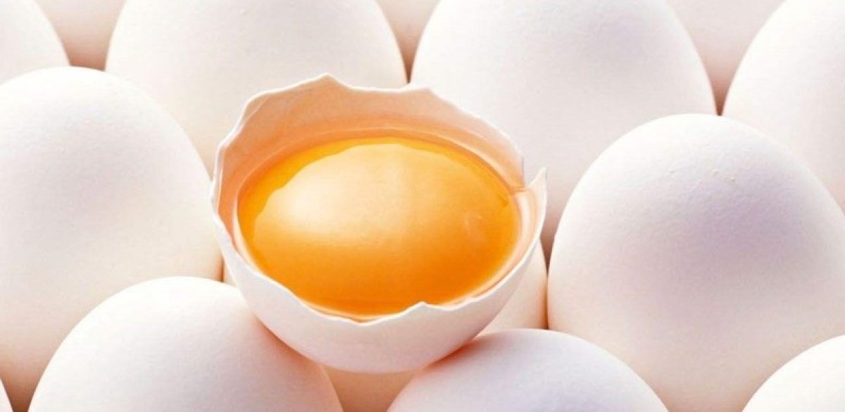Bu sabah bir yumurtaya izin var
