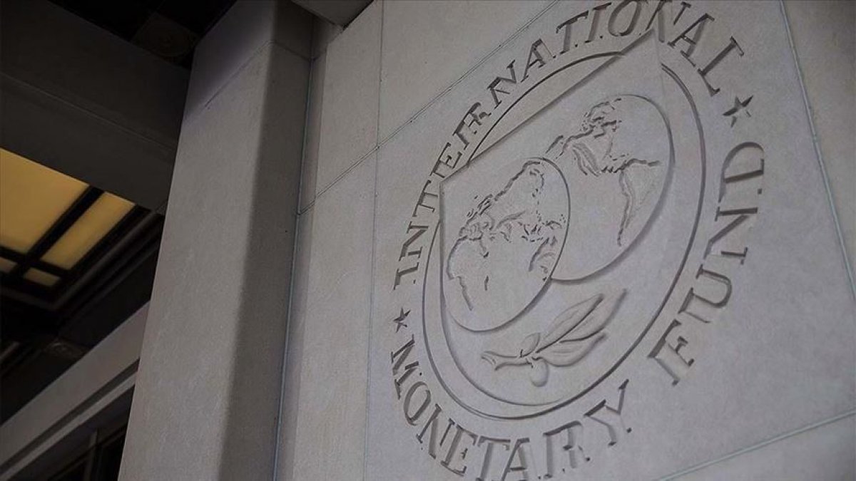 Hazine ve Maliye Bakanlığı: Kota payımıza karşılık IMF den 6,3 milyar dolar tahsis edildi #1