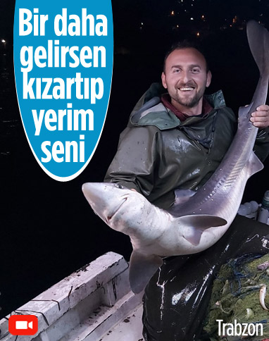 Trabzonlu balıkçının ağına köpek balığı takıldı