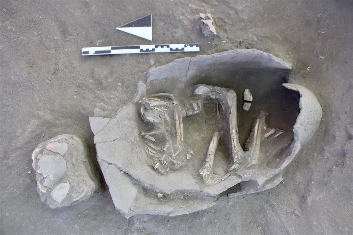 Eskişehir de 5 bin yıllık çocuk iskeletleri bulundu #3