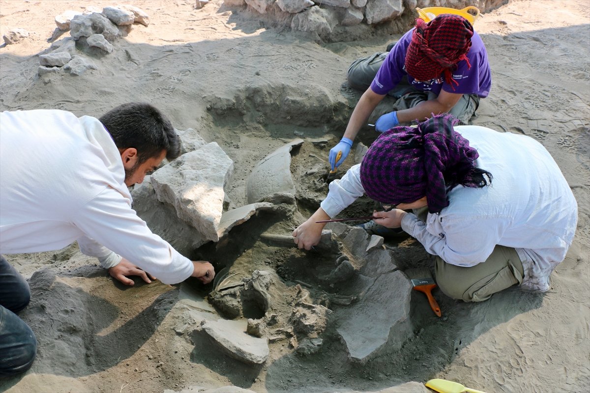 Eskişehir de 5 bin yıllık çocuk iskeletleri bulundu #6