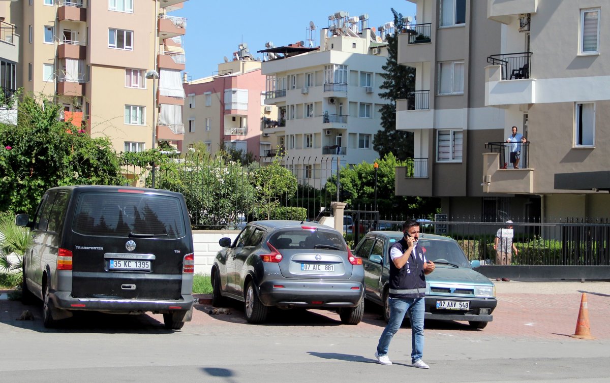 Antalya’da 5 yavru köpek, yakılmış ve darbedilmiş halde ölü bulundu #15