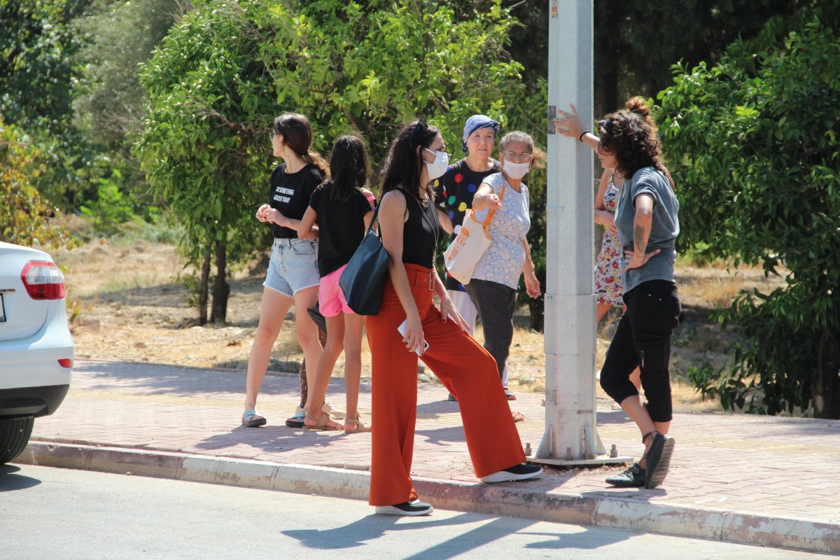 Antalya’da 5 yavru köpek, yakılmış ve darbedilmiş halde ölü bulundu #10