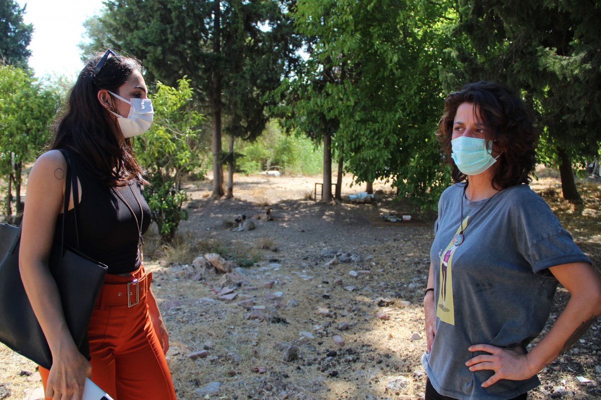 Antalya’da 5 yavru köpek, yakılmış ve darbedilmiş halde ölü bulundu #14