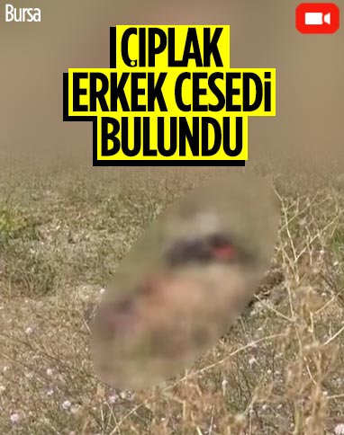 Bursa’da, çıplak erkek cesedi bulundu 