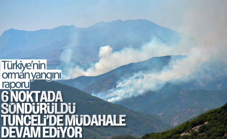 Türkiye genelinde 6 orman yangını kontrol altına alındı