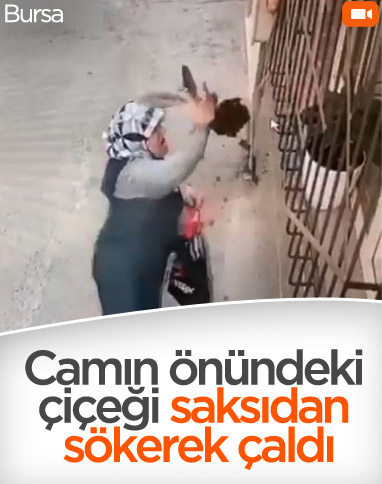 Bursa'da camdaki çiçeği çalan kadın kamerada