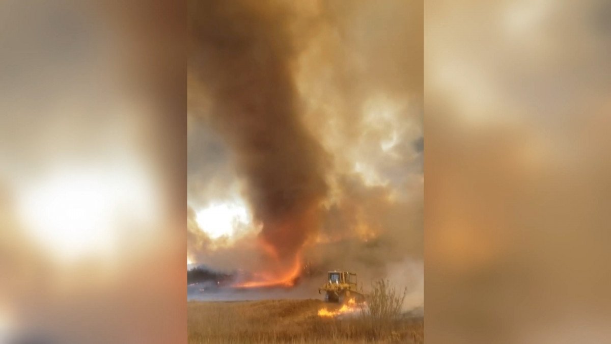 ABD’de orman yangınlarında ‘alev hortumu’ oluştu #1