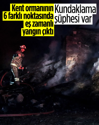 Bursa'da ormanın 6 farklı noktasında ve samanlıkta eş zamanlı yangın