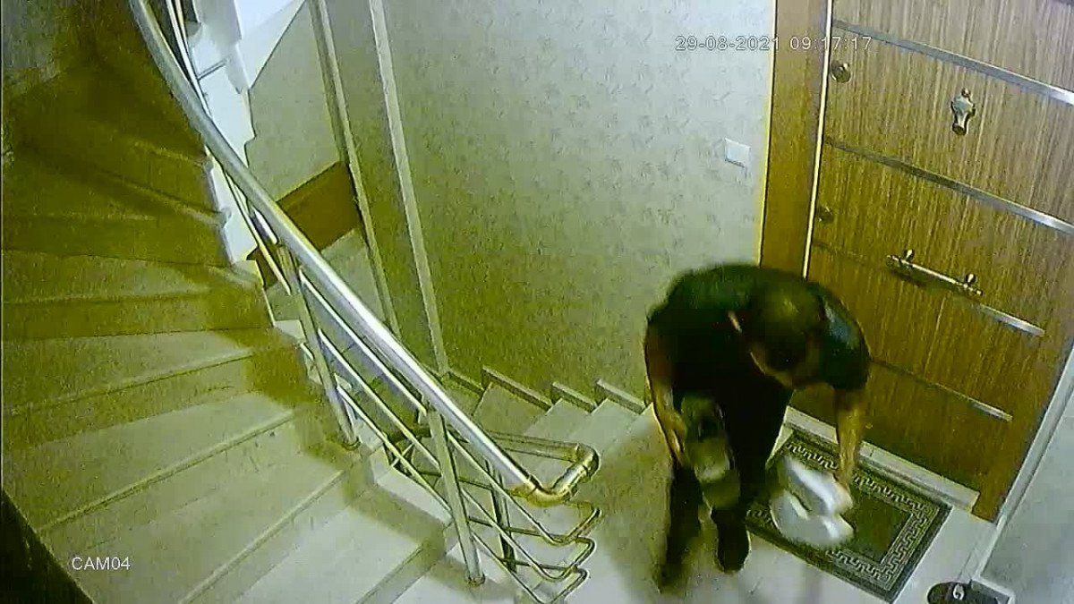 Sultangazi’de, apartmana giren hırsız ayakkabıları topladı #1