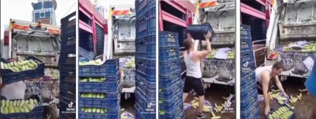 Ataşehir de, kasalarca kabağı çöpe döken şahıstan açıklama #3