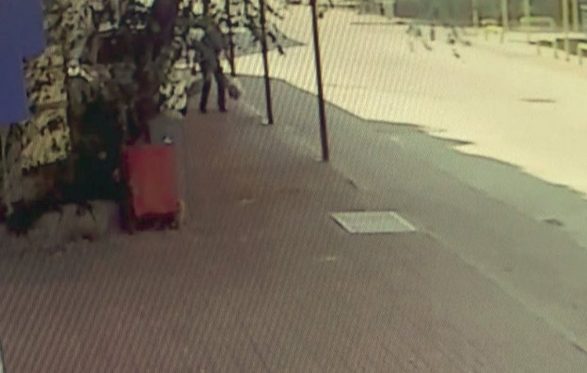 Antalya da alışverişten dönerken yere yığılan adam hayatını kaybetii #4