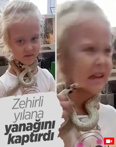 Rusya'da küçük kızı zehirli yılan ısırdı